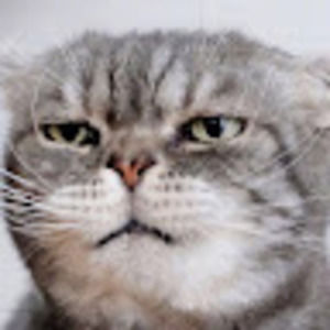 Meet your Posher, Miranda